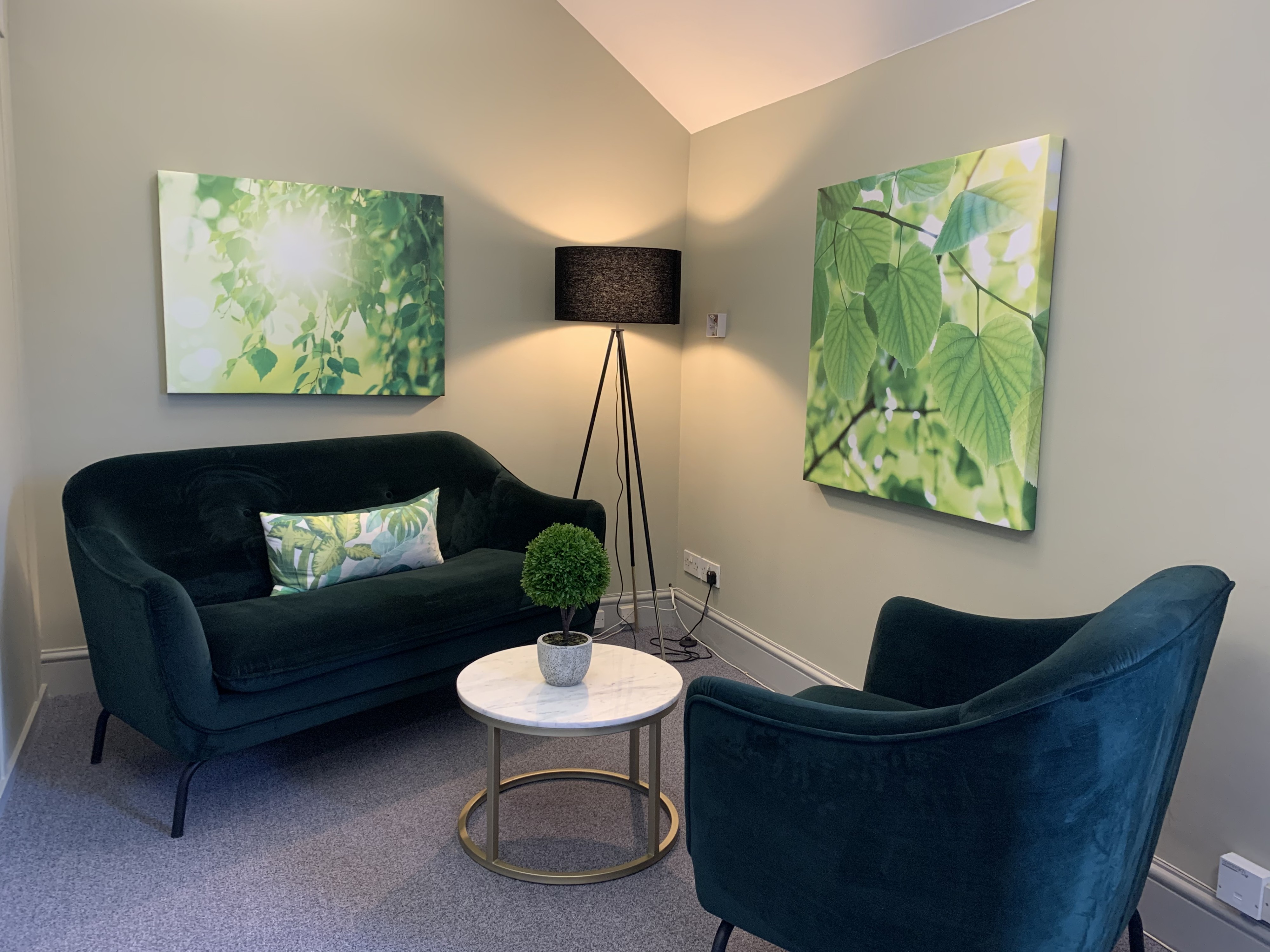 Beautifully furnished therapy rooms